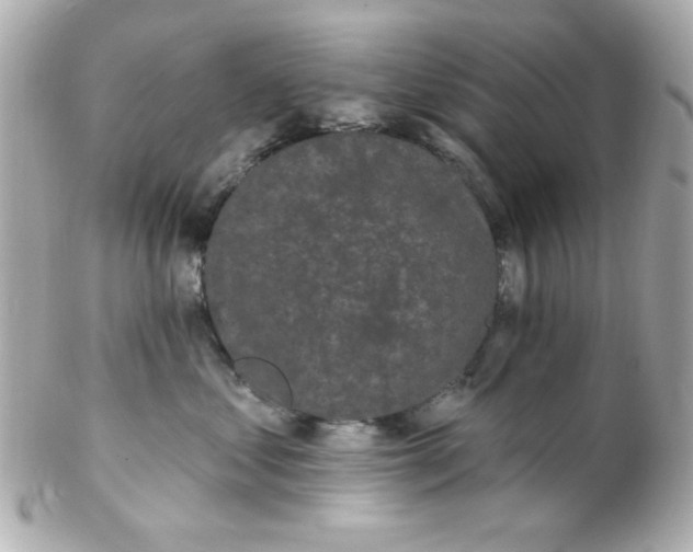 X0000102310621200808152043