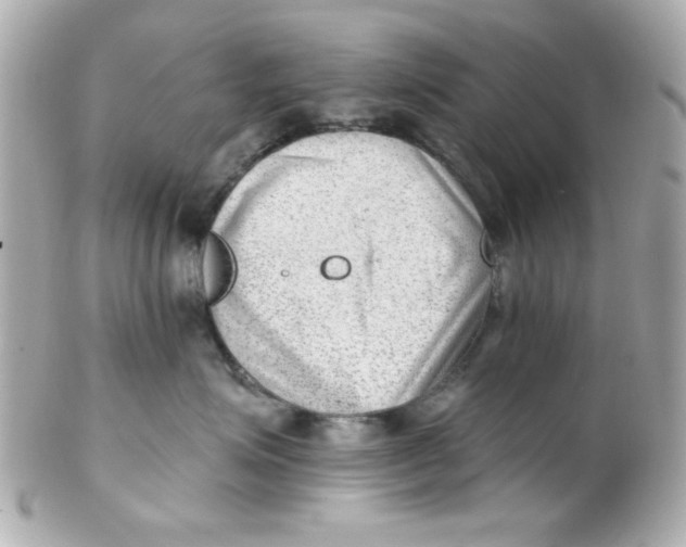 X0000102310623200808152043
