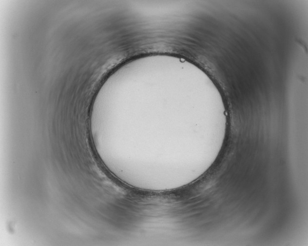X0000102310625200808152042
