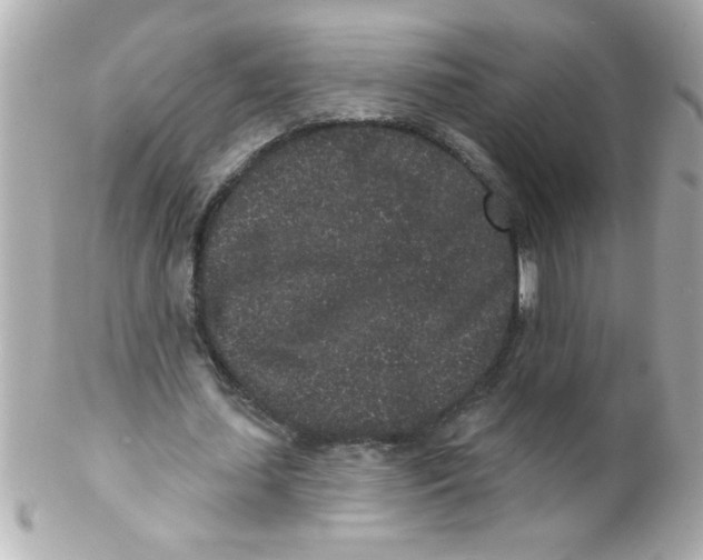 X0000102310627200808152042