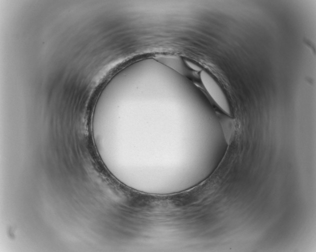 X0000102310628200808152042