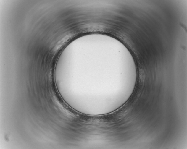 X0000102310629200808152042