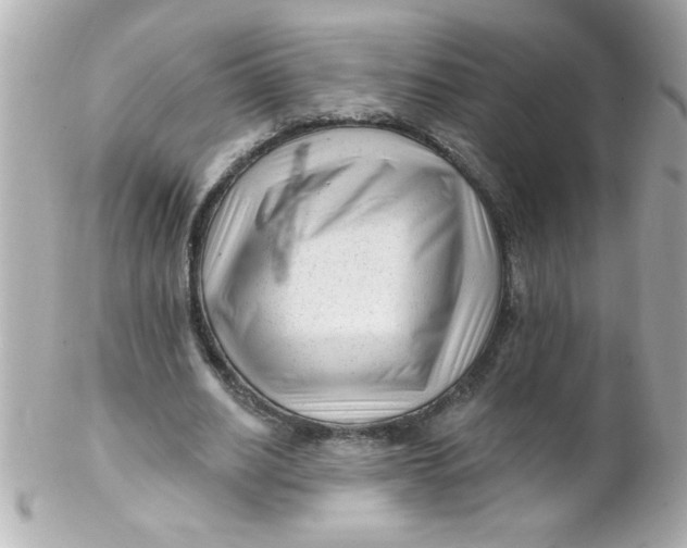 X0000102310630200808152042