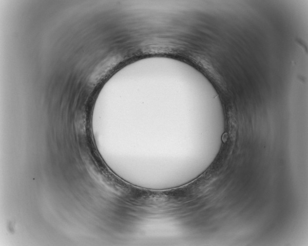 X0000102310631200808152042
