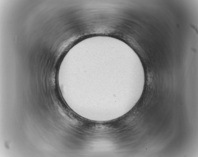 X0000102310632200808152042