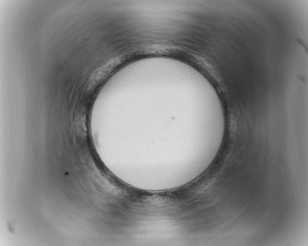 X0000102310633200808152042