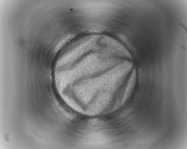 X0000102310634200808152042