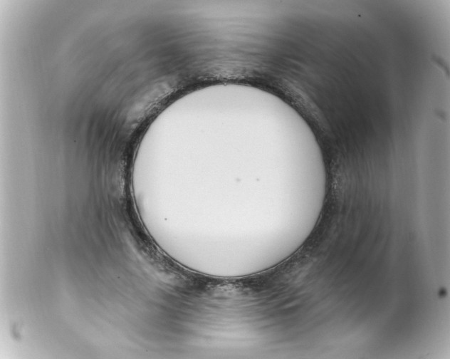 X0000102310635200808152042