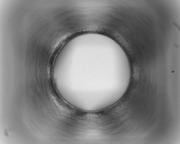 X0000102310636200808152042