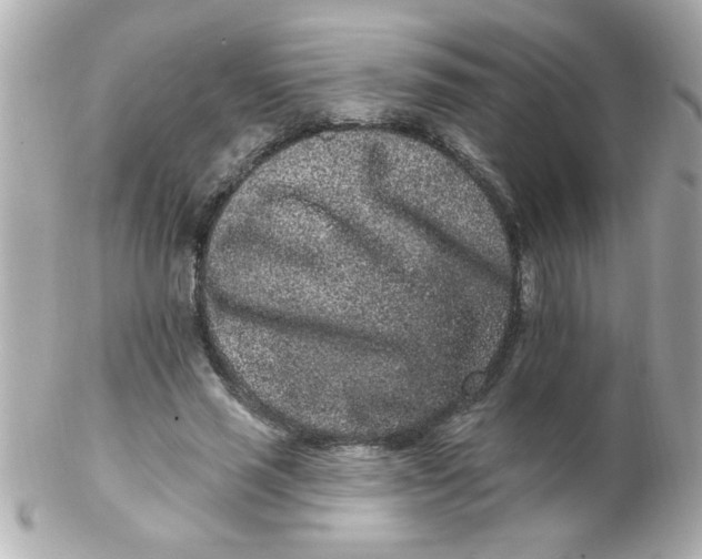 X0000102310637200808152042