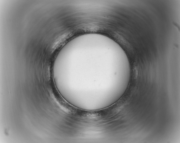X0000102310638200808152042