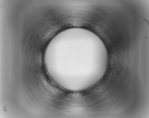 X0000102310639200808152042