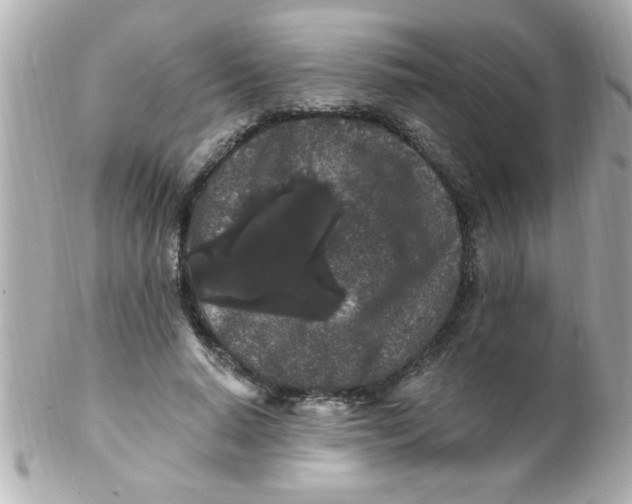 X0000102310640200808152042
