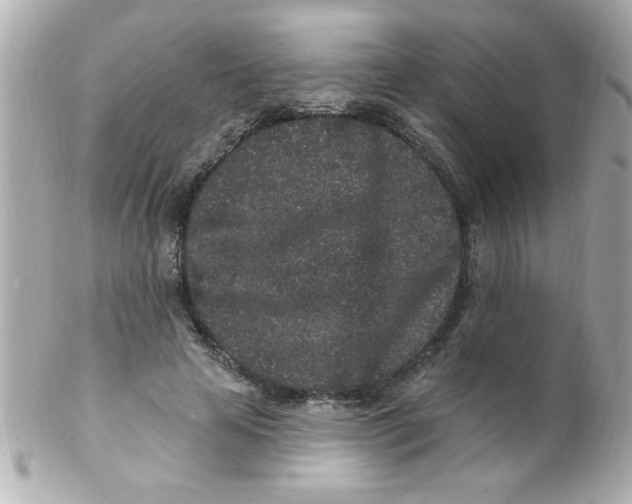 X0000102310641200808152042