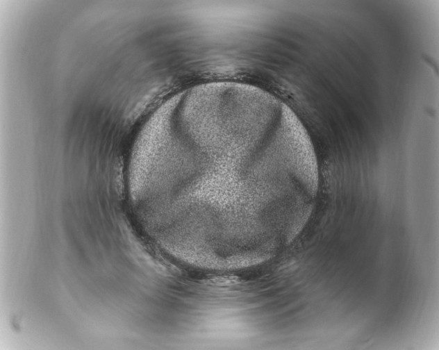 X0000102310642200808152042