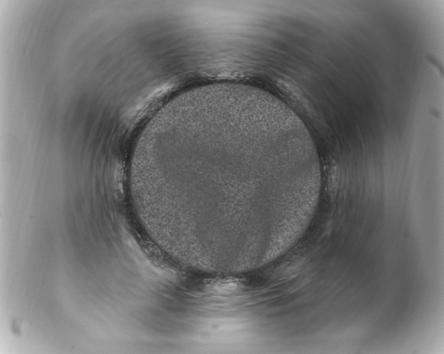 X0000102310643200808152042