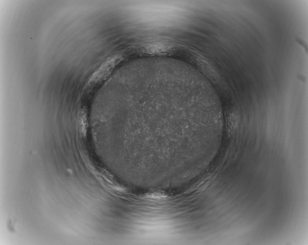 X0000102310644200808152042