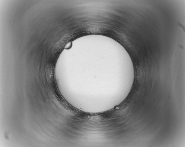 X0000102310645200808152042