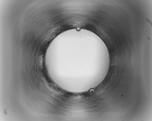 X0000102310646200808152042