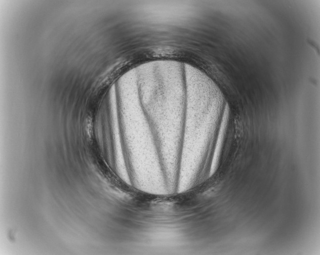 X0000102310648200808152042