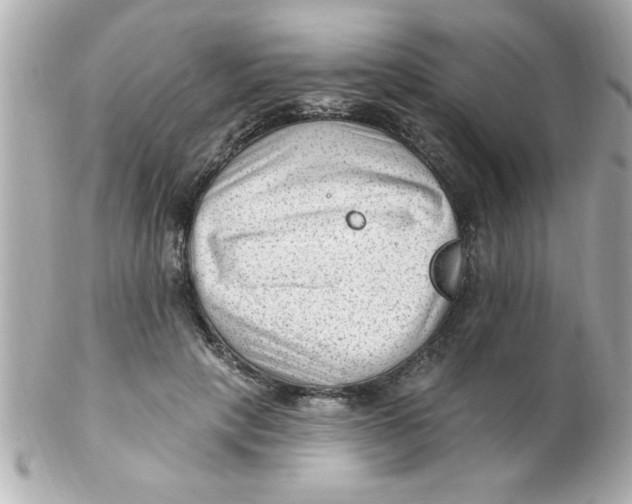 X0000102310649200808152042