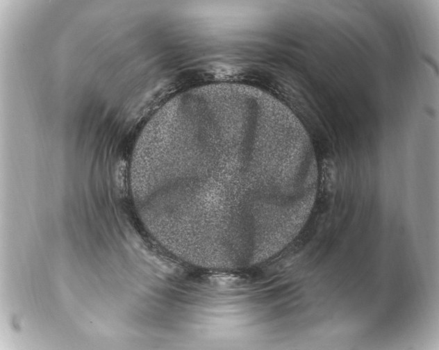 X0000102310650200808152042