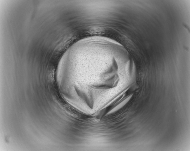 X0000102310652200808152042