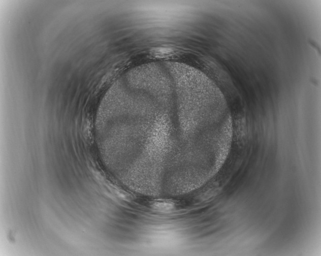 X0000102310653200808152042