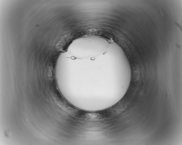 X0000102310654200808152042