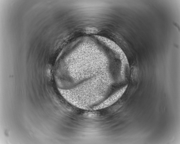 X0000102310655200808152042