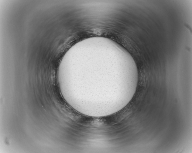 X0000102310656200808152042