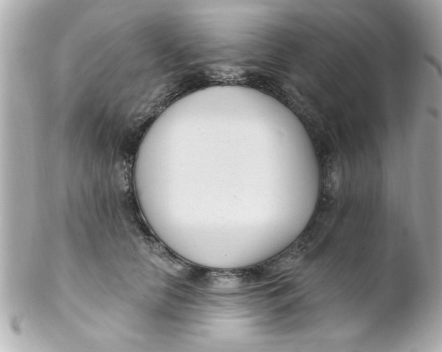 X0000102310658200808152042