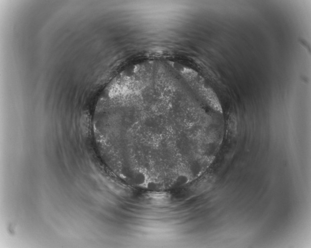 X0000102310659200808152042