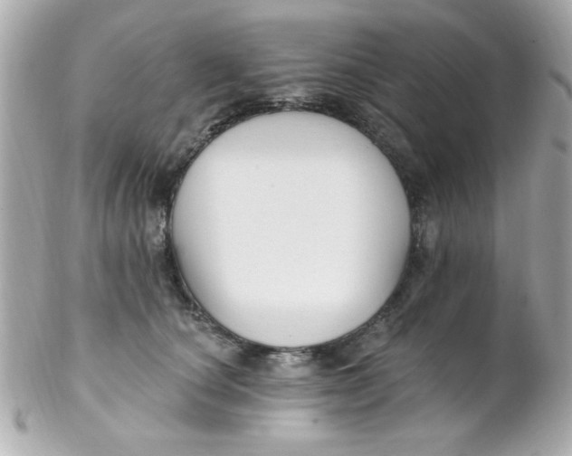 X0000102310660200808152042
