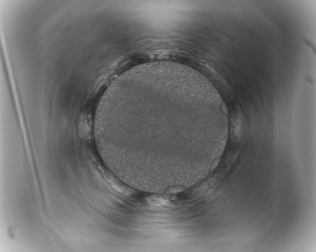 X0000102310661200808152042