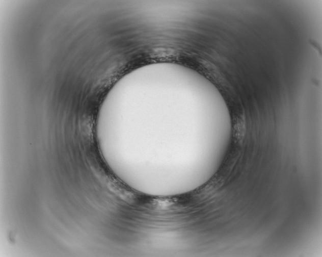 X0000102310662200808152042