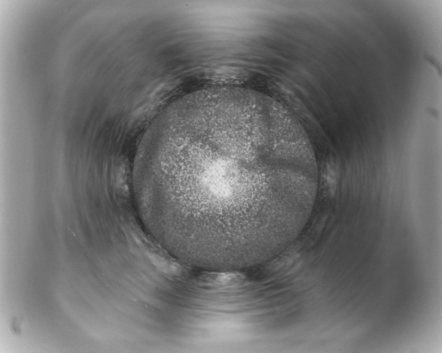 X0000102310663200808152042