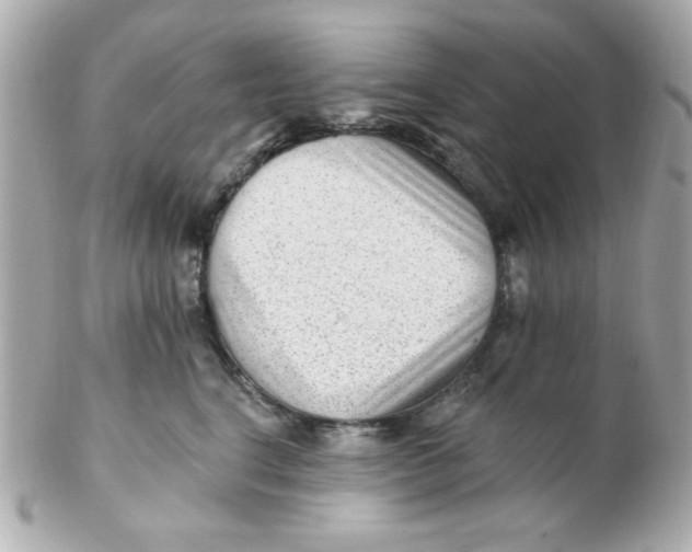 X0000102310664200808152042