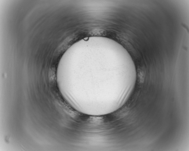 X0000102310665200808152042