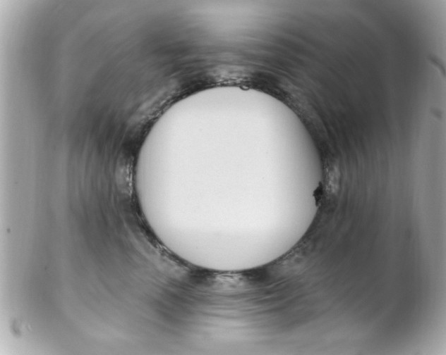 X0000102310666200808152042