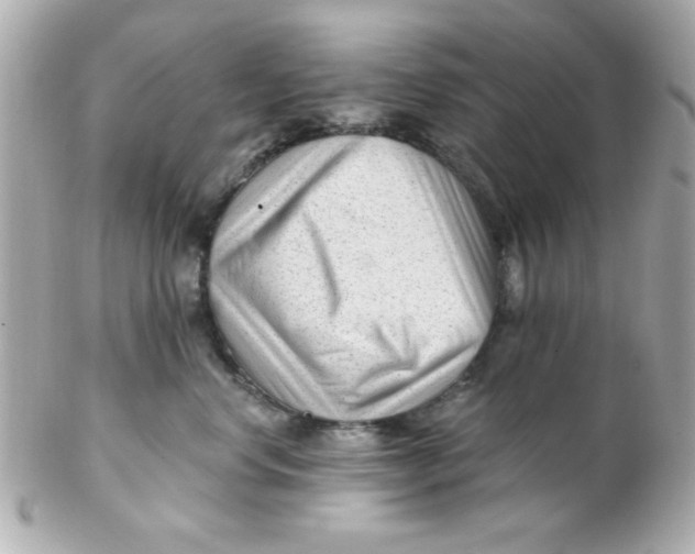 X0000102310668200808152042