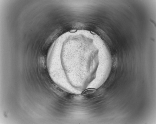 X0000102310669200808152042