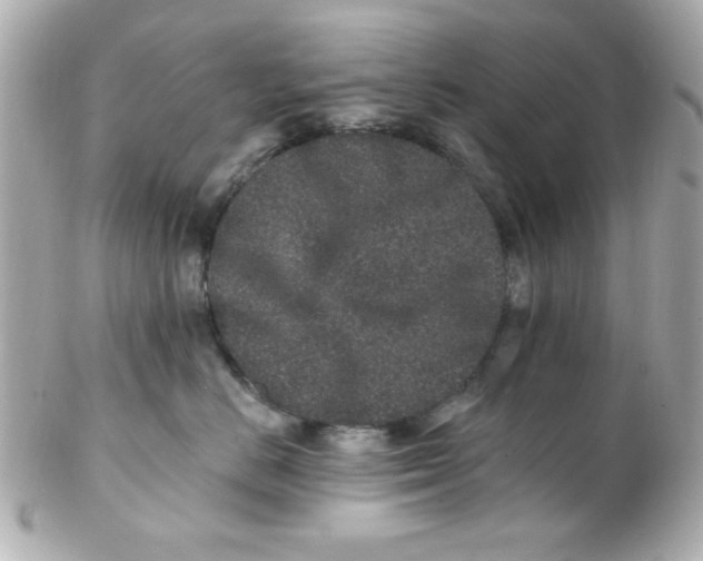X0000102310670200808152042