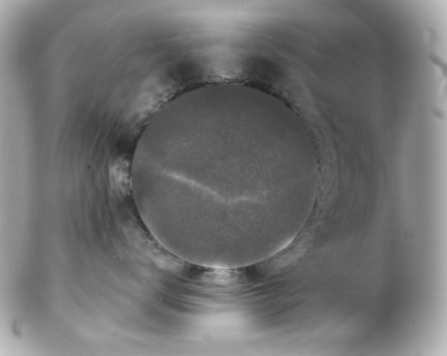 X0000102310672200808152042