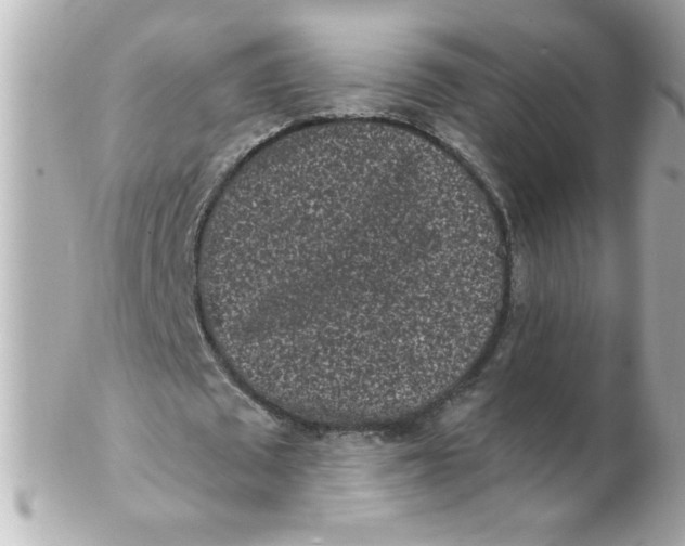 X0000102310673200808152042