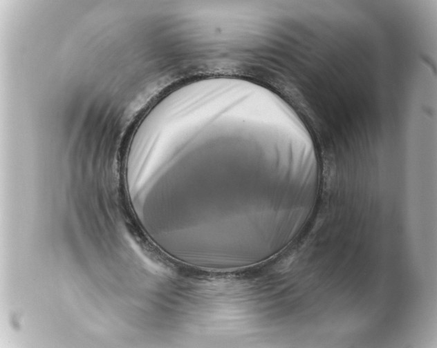 X0000102310674200808152042