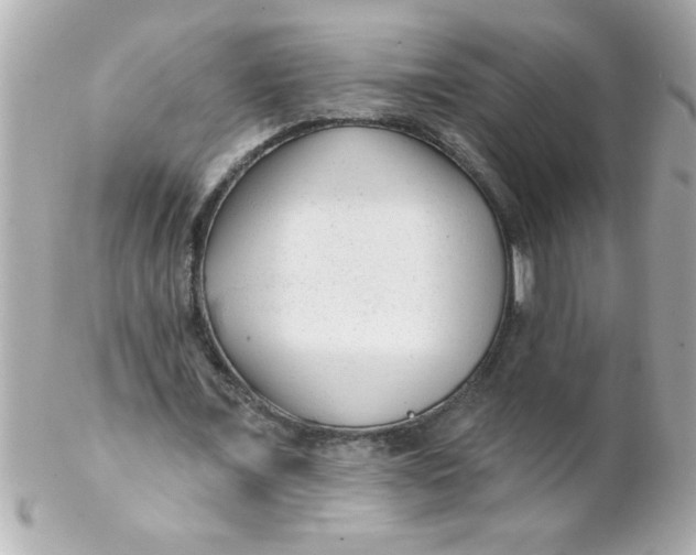 X0000102310675200808152042