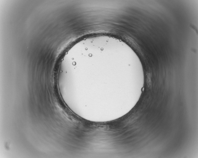 X0000102310676200808152042
