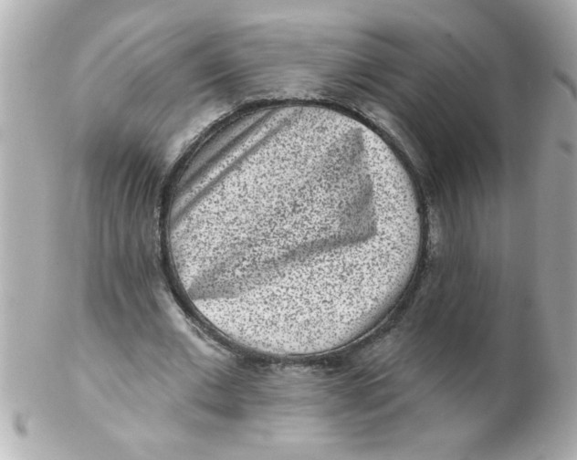 X0000102310677200808152042
