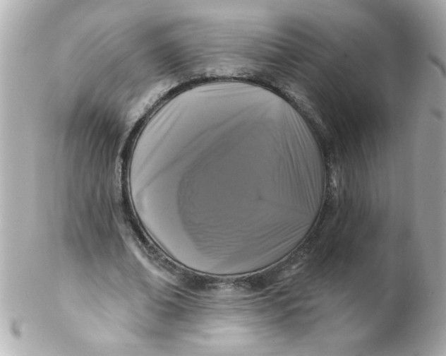 X0000102310678200808152042